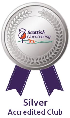 Silver logo
