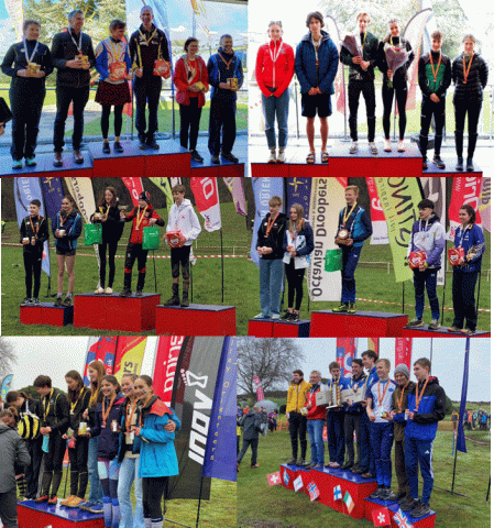podiums