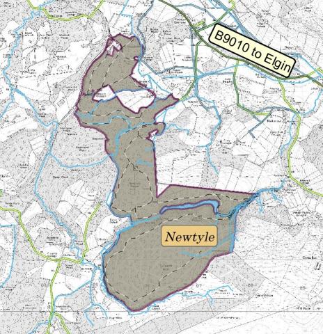 Newtyle